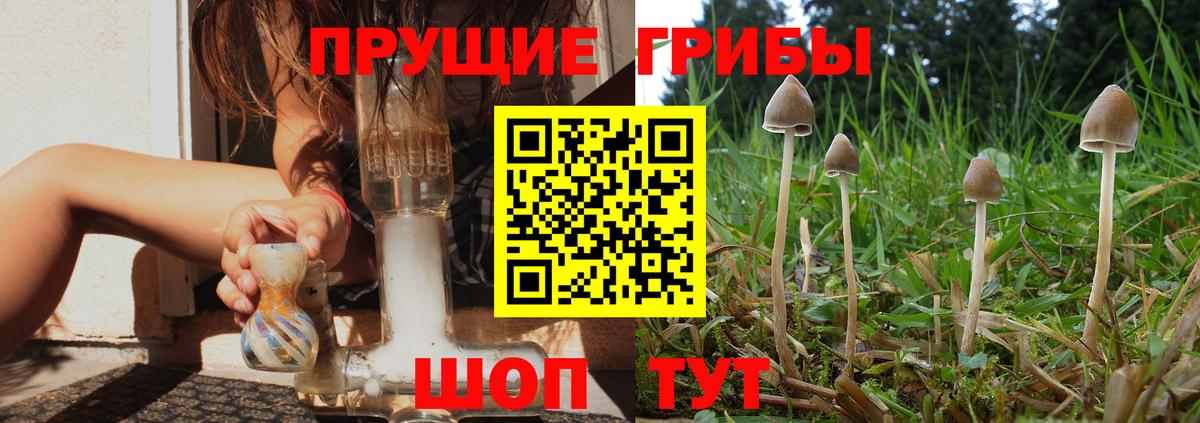 Галлюциногенные грибы Cubensis  Вход с VPN  где купить наркотик  Карпинск 