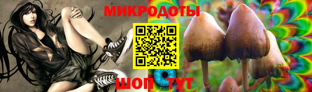 Галлюциногенные грибы прущие грибы Карпинск